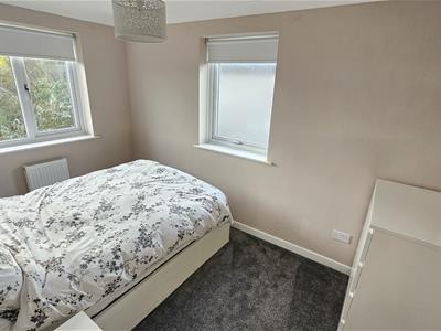 Picture 42